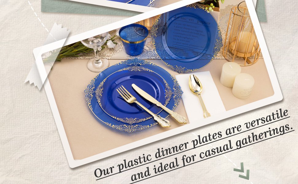 10.4"&8.3" Clear Blue Plastic Dinnerware Sets A3